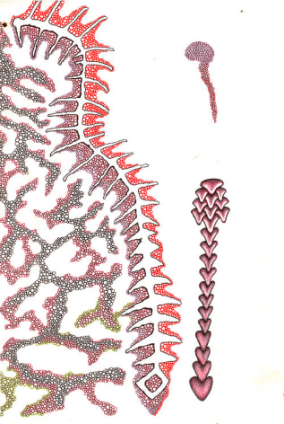 Jeremy Hawkes Epicormic (mapping 5)