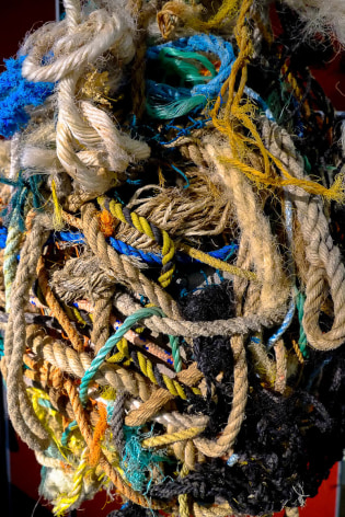 Graham 'Potts' Porter  Intertwined (Detail) Found Objects 2016