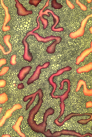 Jeremy Hawkes Epicormia 1