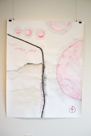 Dean Power  The Third Invitation Of Syzygium Moorei