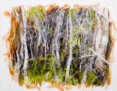 Christine James ​Bundjalung Heathland 2016