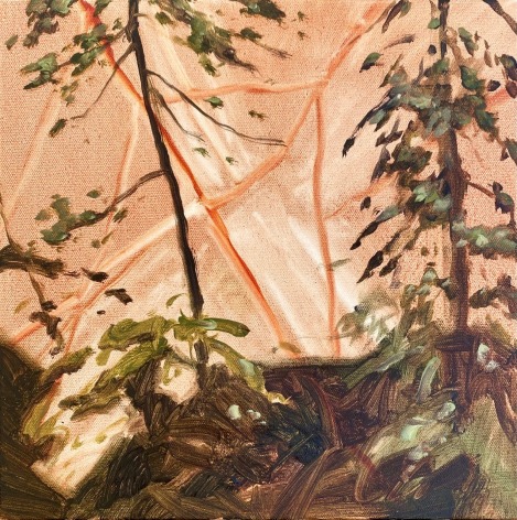 In Situ