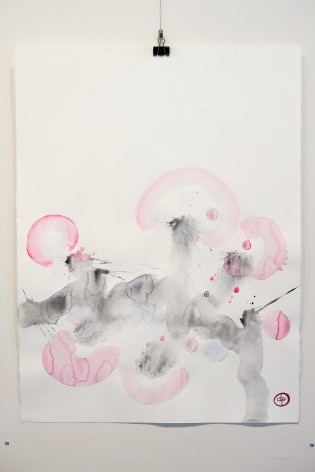 Dean Power Coolamon Trees In Byron Bay Landscape 004