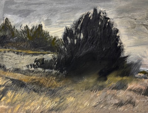 In Situ