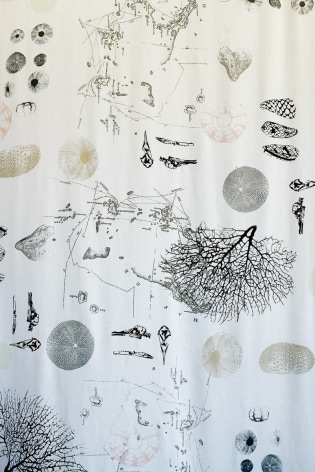 Anne Leon Assorted Beach Finds Screen-prints on linen ​2016