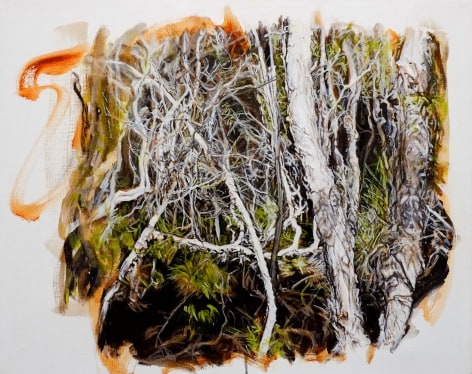 Christine James ​Bundjalung Heathland 2016