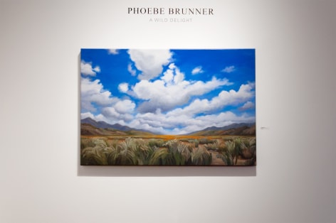 Installation photograph of PHOEBE BRUNNER: A Wild Delight with Coming Home