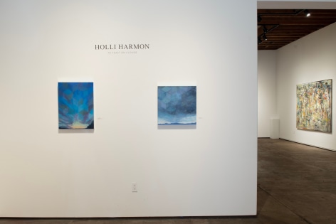 Installation photograph of HOLLI HARMON: To Feast on Clouds with WOSENE WORKE KOSROF in the background