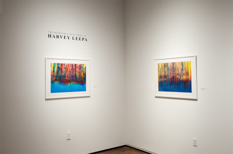 Installation photograph of THE INCREDIBLE TRUE STORY OF HARVEY LEEPA