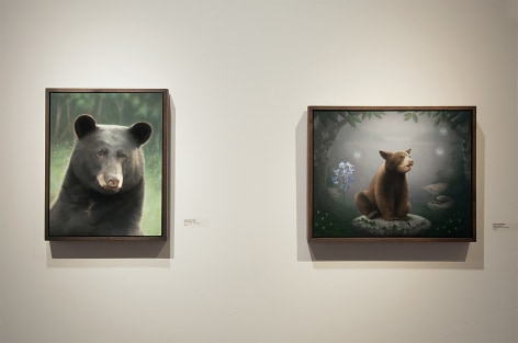 Contemporary Bear Area Artists Installation photograph, Susan McDonnell