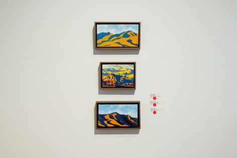 ROBIN GOWEN: A Wild Hush 2025 installation photo