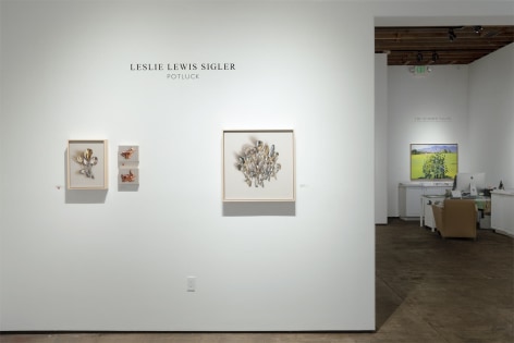 Installation photograph of LESLIE LEWIS SIGLER: Potluck (long view with Summer Salon in background)