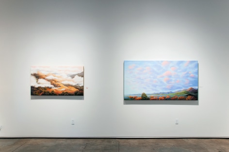 Installation photograph of PHOEBE BRUNNER: A Wild Delight with The Persistence of Undeniable Beauty and Cloud Whisper