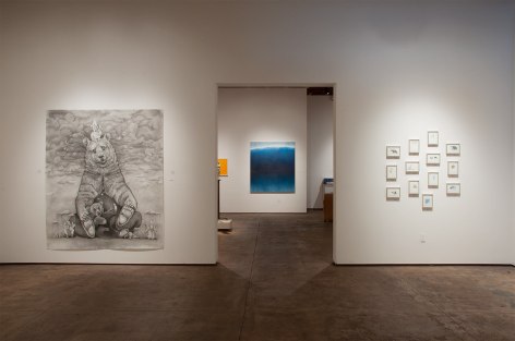 Contemporary Bear Area Artists Installation photograph, Adonna Khare, Natalie Arnoldi, Nicole Strasburg