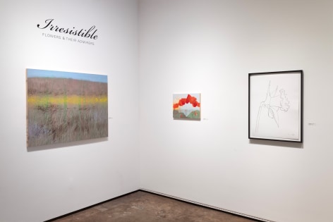 Installation photograph of IRRESISTIBLE: Flowers & Their Admirers, Maria Rendon & Ellsworth Kelly