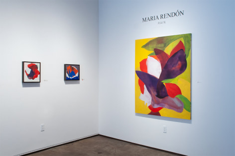 Installation photograph of MARIA RENDON: Rain