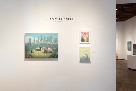 Installation photo for SUSAN McDONNELL: Radiant Realm