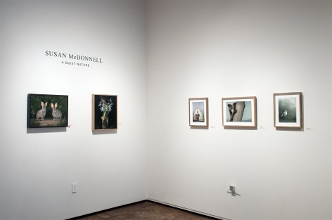 Installation photograph of SUSAN McDONNELL: A Quite Nature