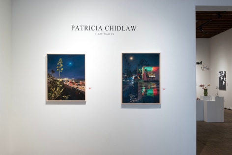 PATRICIA CHIDLAW: Nighthawks 2024 Installation photos