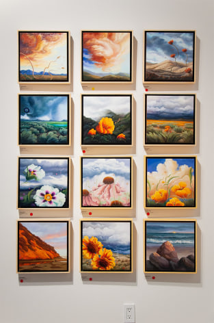 Installation photograph of PHOEBE BRUNNER: A Wild Delight with many 12 x 12 inch paintings