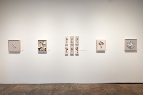 LESLIE LEWIS SIGLER, Installation photo 2025