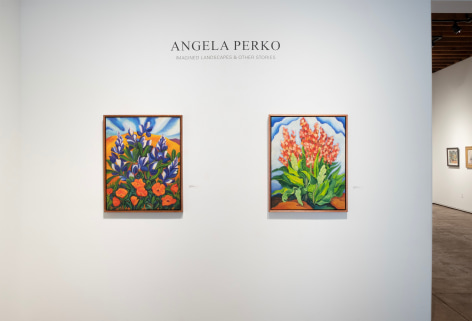 ANGELA PERKO, Imagined Landscapes &amp; Other Stories Installation photo