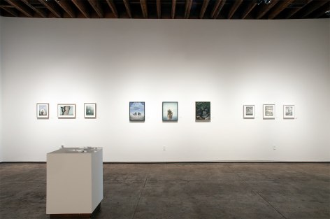 Installation photograph of SUSAN McDONNELL: A Quite Nature