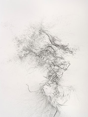 Gustavo D&iacute;az, Flock ascending to the quantum garden, 2021. Graphite on paper, 44 5/8 x 30 in. (detail)