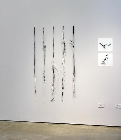 Luis Rold&aacute;n, Sicardi Gallery installation view, 2007