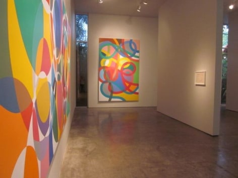 Graciela Hasper, Recent Paintings, Installation view, 2011.