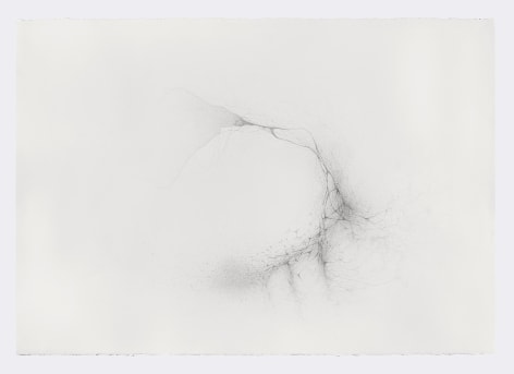 Gustavo D&iacute;az, From the series: Imaginary Flight Patterns V, 2021. Graphite on paper, 42 x 60&nbsp; in.