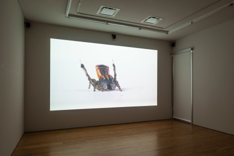 Maria Fernanda Cardoso:&nbsp;On the Origins of Art. Sicardi | Ayers | Bacino, 2018