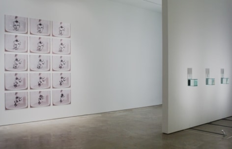 Oscar Muñoz, Exhibition at Sicardi | Ayers | Bacino, 2002.