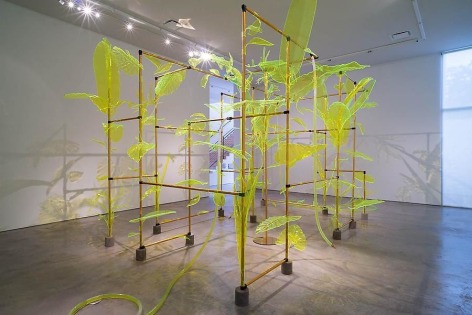 Thomas Glassford, Afterglow, Sicardi Gallery installation view, 2014