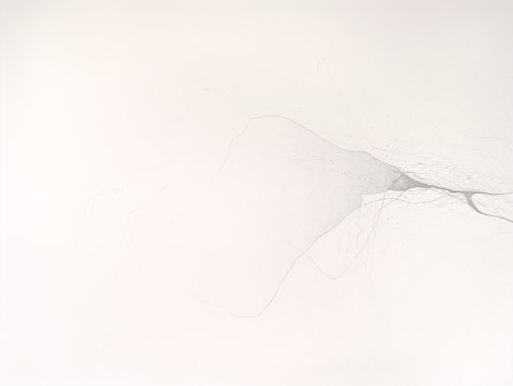 Gustavo D&iacute;az, From the series: Imaginary Flight Patterns V, 2021. Graphite on paper, 42 x 60&nbsp; in. (detail)