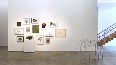 Installation view of the exhibition Nature at Sicardi Ayers Bacino, 2020.