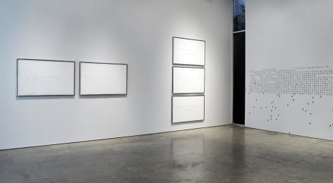 Miguel Angel Rojas: At the Edge of Scarcity, Sicardi Gallery installation view, 2011