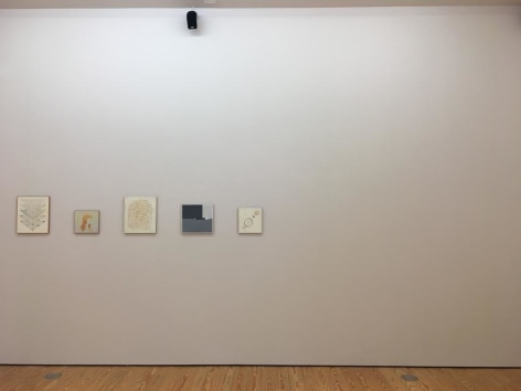 Exhibition, Melanie Smith: Abandoned Bodies and Uncertain Futures, Installation view, 2016.