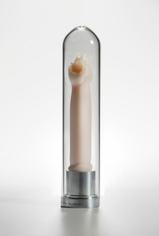 Mar&iacute;a Fernanda Cardoso, Intromittent organ of the Allonuncia grandis [Tasmanian harvestman] Opillones [Edition of 5 + 2 AP], 2008-2009. Resin, glass, metal, 11 x 2 3/8 x 2 3/8 in. (27.9 x 6 x 6 cm.)