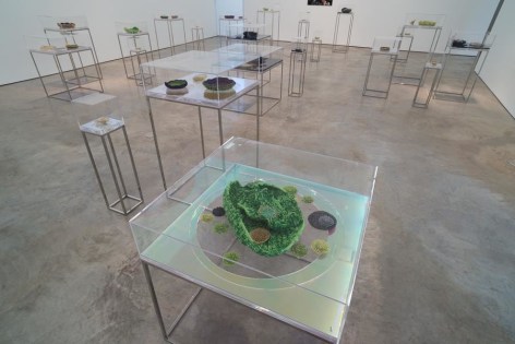 Ana Maria Tavares: Euryale Amazonica. Sicardi Gallery installation view. October 30 - December 20, 2014.