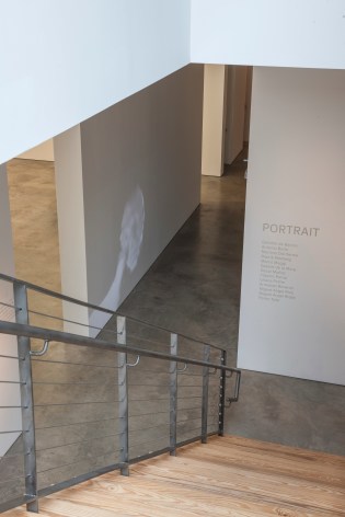 Portrait&nbsp;Installation View at&nbsp;Sicardi | Ayers | Bacino, 2018. Photo by Paul Hester.