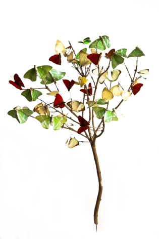 Mar&iacute;a Fernanda Cardoso, Arbolito - Little tree, Ed. 2/5 [Edition of 5 + 2AP], 2010. Digital pigment print on 300 gr. cotton, 23 5/8 x 15 3/4 in. (60 x 40 cm.)