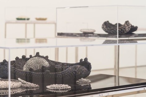 Ana Maria Tavares: Euryale Amazonica. Sicardi Gallery installation view. October 30 - December 20, 2014.