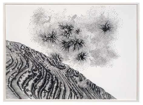 Luisa Roa, Untitled, The Elephant Journey Series, 2012, Ink on paper, 27&quot; x 38&quot;