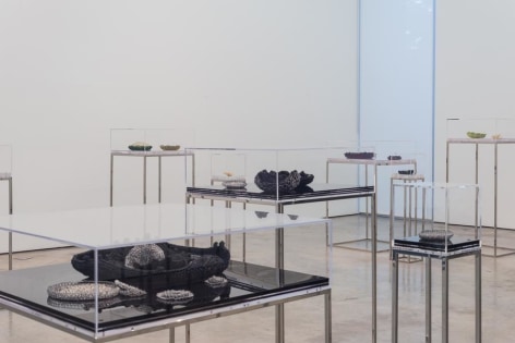 Ana Maria Tavares: Euryale Amazonica. Sicardi Gallery installation view. October 30 - December 20, 2014.