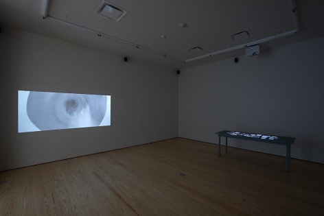 Oscar Mu&ntilde;oz, Installation view, 2012.