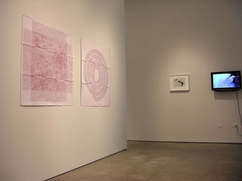Le&oacute;n Ferrari, Luis Roldan, Fabiana Cruz, Sicardi Gallery installation view, 2008