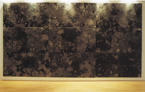 Miguel &Aacute;ngel Rojas,&nbsp;La cama de piedra, 2000. Polyptych: Ink and silver leaf on polyester filled canvas. 36 3/16 x 66 7/8 in.&nbsp;each. Collection: Museo Nacional de Colombia&nbsp;