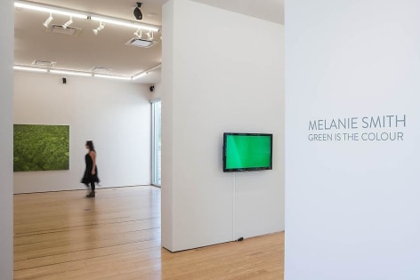 Melanie Smith, Green is the Colour, Installation view, 2014.