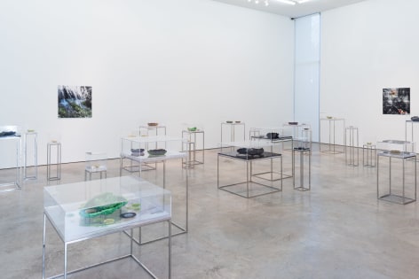 Ana Maria Tavares: Euryale Amazonica, installation view at Sicardi Gallery, 2014.